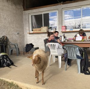 Image actuelle : ferme pédagogique stagiaires ETRE
